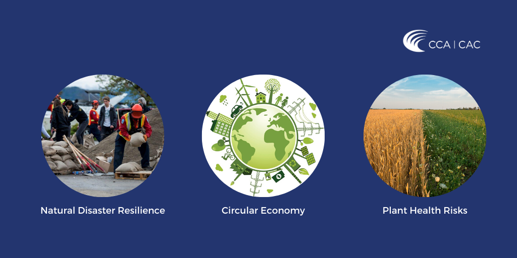 Council of Canadian Academies | CCA | CCA launches three new projects